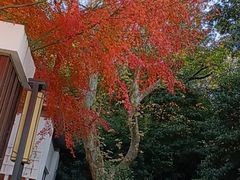 -康友四季(星汇广场店)
