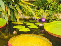 -国家植物园南园