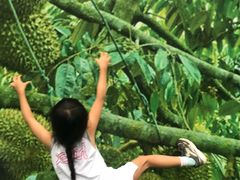 -都念榴莲·城市榴莲