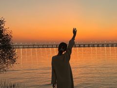 -宝安西湾红树林湿地公园