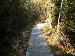 -塔川景区