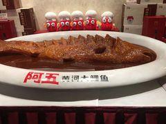 -阿五黄河大鲤鱼(纬三路店)