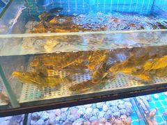 -透明思烤·自助烤肉海鲜火锅(东部星悦天地店)