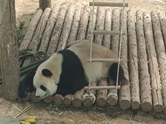 -大连森林动物园