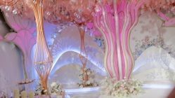 -曼格纳婚礼艺术中心(张江店)