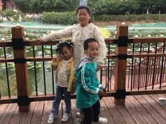 -郑州方特梦幻王国