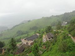 -紫鹊界梯田景区
