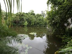 -中国科学院西双版纳热带植物园