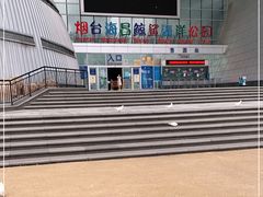 -烟台海昌鲸鲨海洋公园