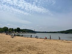 -上海月湖雕塑公园