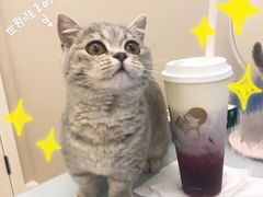 -喜茶(北京五棵松华熙店)