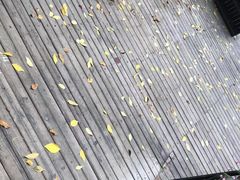 -管氏翅吧(人民大学店)