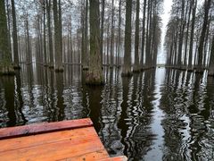 -渌洋湖湿地公园