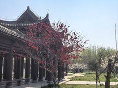 -赵州桥景区