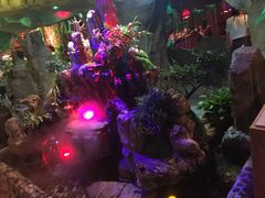 -醉小酒馆·川菜·江湖菜·重庆菜(观音桥旗舰店)