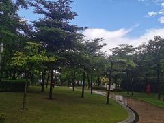 -海珠儿童公园