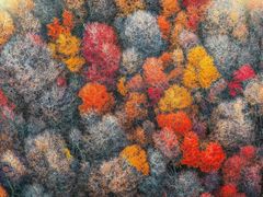 -罗红摄影艺术馆