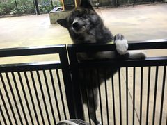 -TrueLove @ Neverland (Husky Cafe)