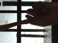 -贰號小院潮汕砂锅粥(前海西街店)