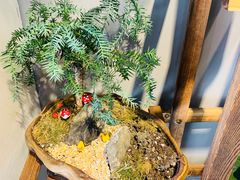 -何兮花店·气球派对鲜花店(马桥银春路万科城店)