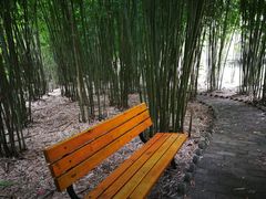 -武汉姚家山旅游景区