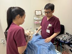 -美联众合动物医院·24h京西诊疗中心