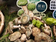-菌彩云南野生菌火锅(新亚洲店)