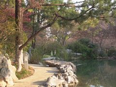 -青枫公园