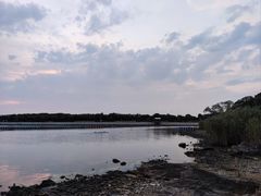 -上海市保健医疗中心