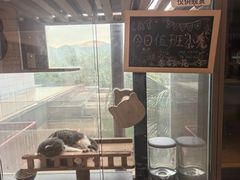 -宁波九龙湖开元度假村