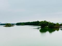 -贡湖湾湿地公园