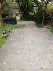 -莲生母婴月子中心(清水河公园店)