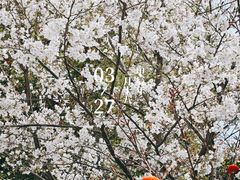 -江宁路街道社区文化活动中心