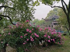 -西湖外事游船(花港观鱼码头)