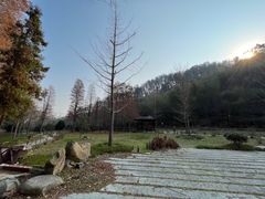 -素山寺森林公园