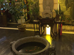 -笨鸡小跑·临沂炒鸡·佛跳墙(罗庄店)