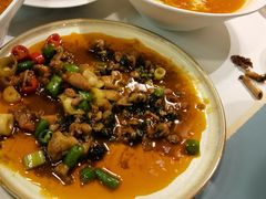 -付掌柜在成都·热炒砂锅集(金禾店)