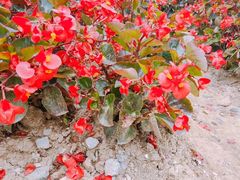 -迪茵湖田家舍生态农场