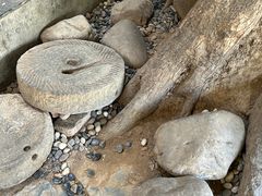 -天怡·鱼工厂(梅溪湖店)