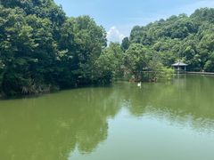 -千岛湖东南湖区