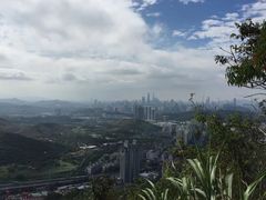 -梧桐山风景名胜区