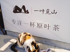 -一叶觅山(半边街店)