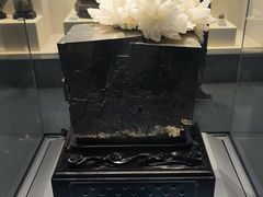 -安徽省地质博物馆