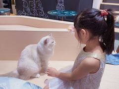 -瞄一喵猫咖(格力海岸店)