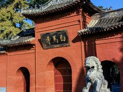-洛阳白马寺