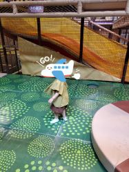 -卡通尼·Safari非洲探索乐园·生日会(金桥国际商业广场店)