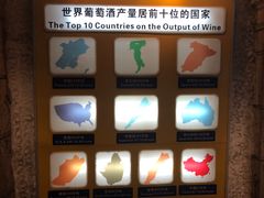 -青岛葡萄酒博物馆