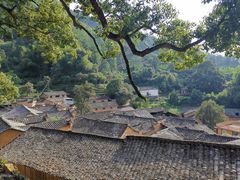 -杨家堂村