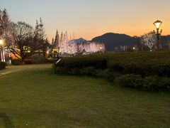 -东钱湖旅游度假区