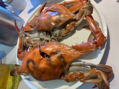 -开海·红岛海鲜虾水饺(石老人店)